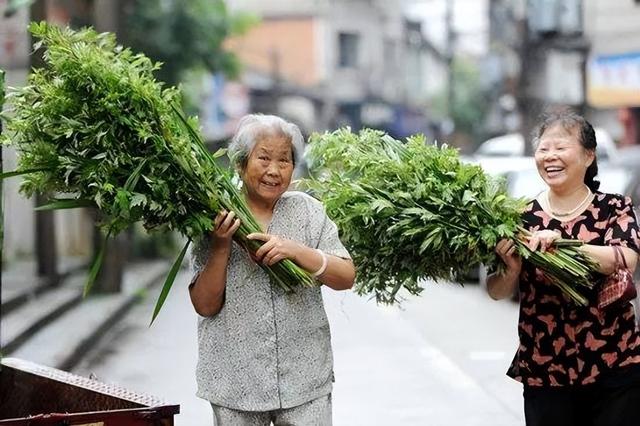 端午节大门口挂艾草有哪些讲究，牢记“3放2不放”传统规矩不能忘