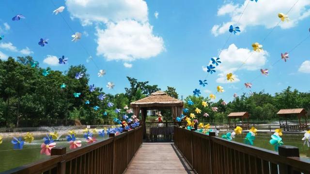 黑木耳可别这么吃，黑木耳咋吃好（徒步旅行or沿线游玩）