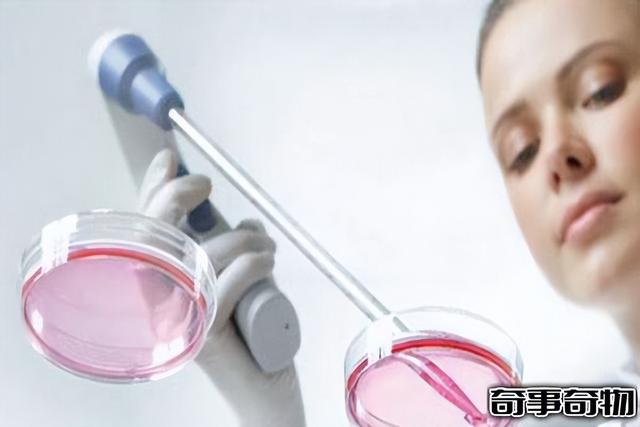 奇事奇物网，奇事奇物网上海龙柱（科学家创造金属细胞已有生命迹象）