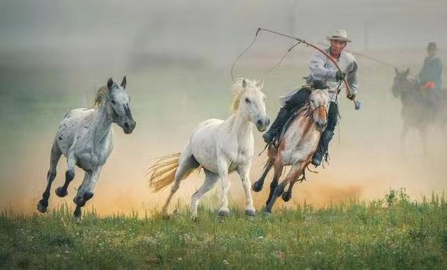 蒙古民歌歌曲全集，求悠长的蒙古歌曲名字（《故乡的蒙古马》李昌明词）