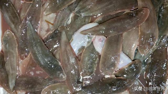 鲷鱼是什么鱼，脆肉鲷鱼是什么鱼（春夏季海鱼9大排名来了）