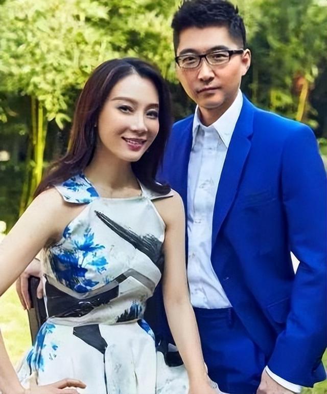 陈数的丈夫是何人，陈数：结婚12年未生育