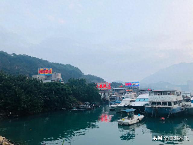 香港物语（5）鲤鱼门与居不易