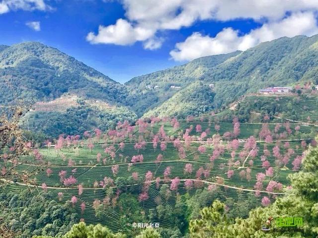 暖和的地方旅游，春节期间暖和地方适合去哪里旅游（20个小众旅行地）