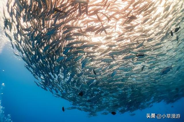 有海的地方哪个比较适合旅游，海边去哪里旅游最好（海岛旅行度假首选）