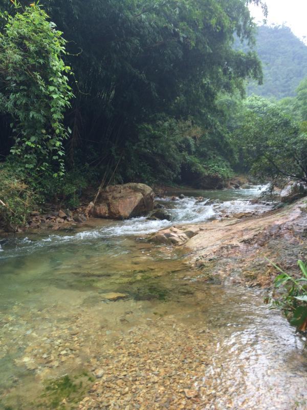 端砚产自哪里，端砚是什么意思（端砚坑口、歙砚坑口、琅琊紫金砚坑口）