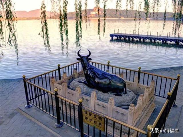 铜雕厂家盘点 三个厂家介绍，铜雕厂家盘点（铜牛.昆明湖畔铜牛.河北铜牛.铜雕生产厂家）