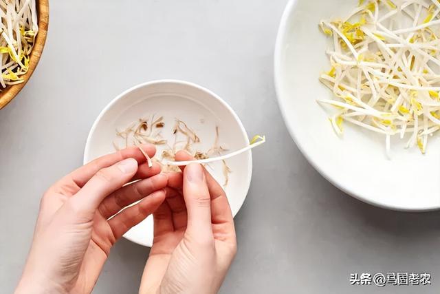 炒豆芽怎么做好吃，如何做绿豆芽的步骤（村里人都爱吃的炒豆芽）