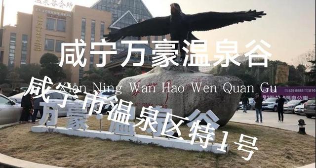 天和温泉度假村，广东十大隐奢温泉（湖北省温泉度假村最全大全）