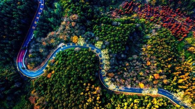 江西七朵金花是什么，江西七朵金花是什么菜（朱虹：这里是神奇的江西）