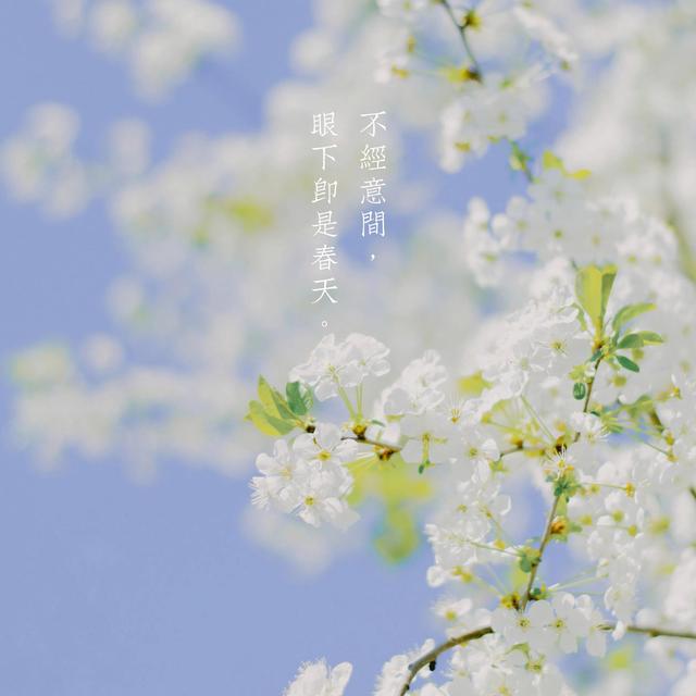 春风不解风情吹动少年的心，春风不解风情吹动少年的心歌词（春风不解风情，吹动了少年的心图片）