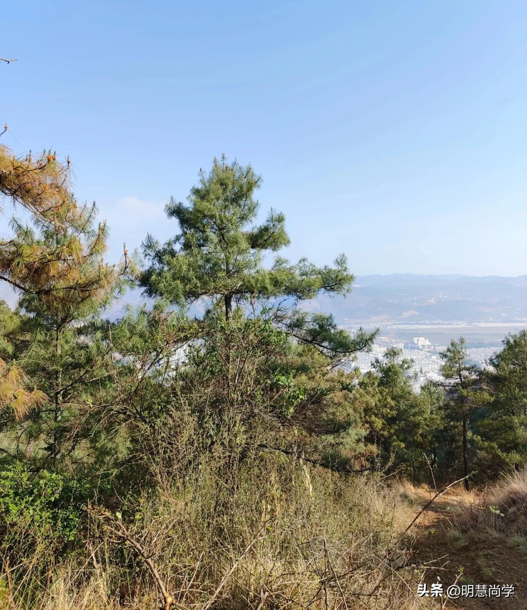 爬山一定要登顶吗？