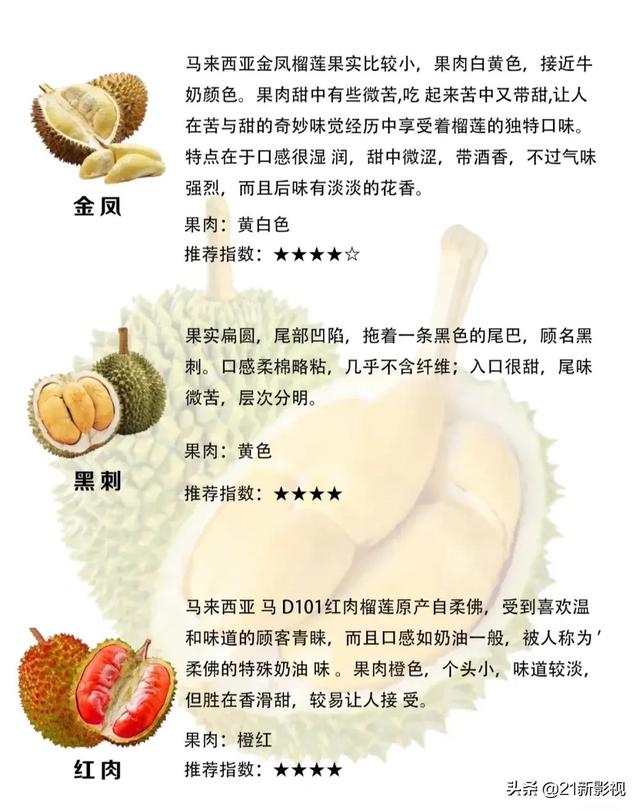 榴莲有什么品种，榴莲的品种有几种（榴莲品种大盘点）