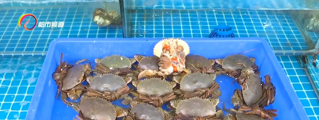 怎么样可以养殖缅甸蟹，缅甸蟹可以淡水养殖吗（想要膏肥黄满还得再等等）