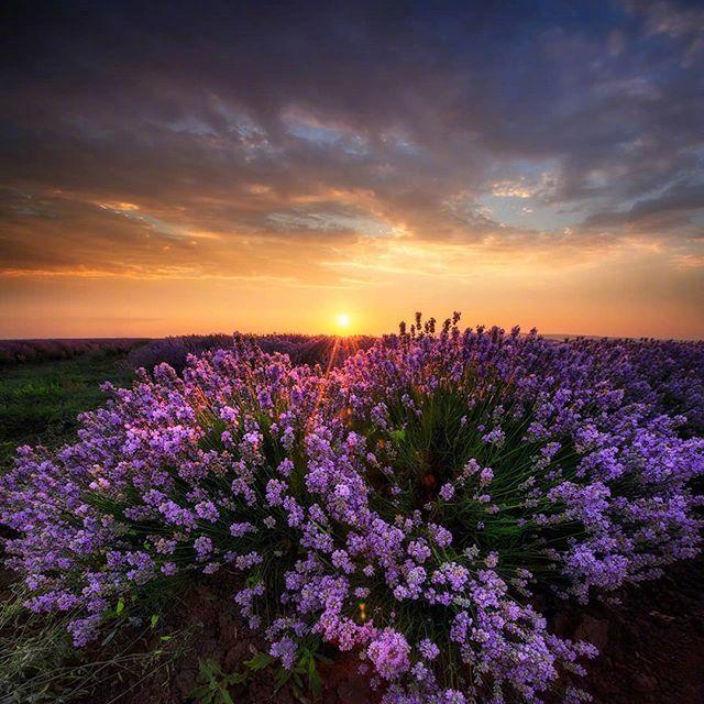 生活压力感悟经典句子，生活的压力经典句子（释放压力的人生哲理语录）