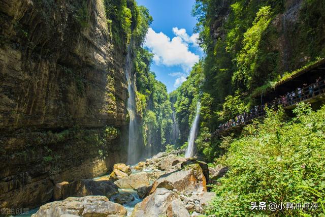 李连红和袖珍人一家，农村“袖珍人”张荣的“绝地”反击