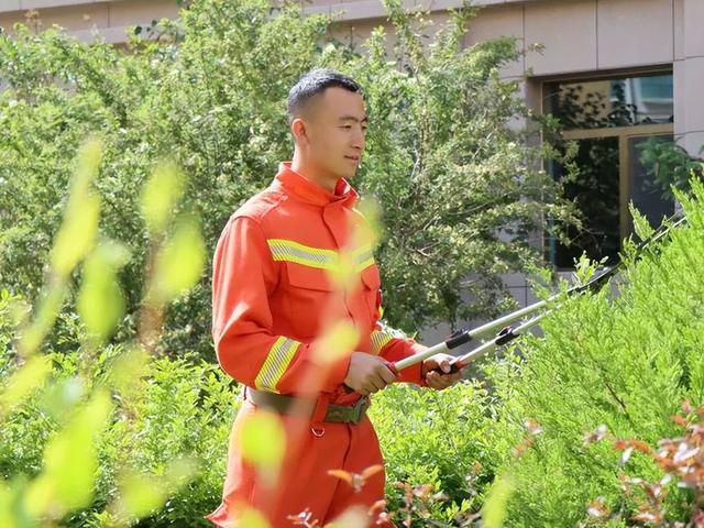 宝藏男孩是什么意思，我的宝藏男孩是什么意思（实习消防员里的“宝藏男孩”）