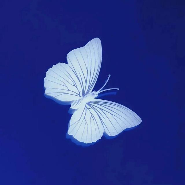 克莱因蓝代表什么寓意，克莱因蓝（或许你也会喜欢克莱因蓝）