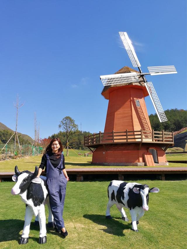 泰顺旅游必去景点介绍，泰顺游玩景点（盛夏到温州泰顺来避暑）