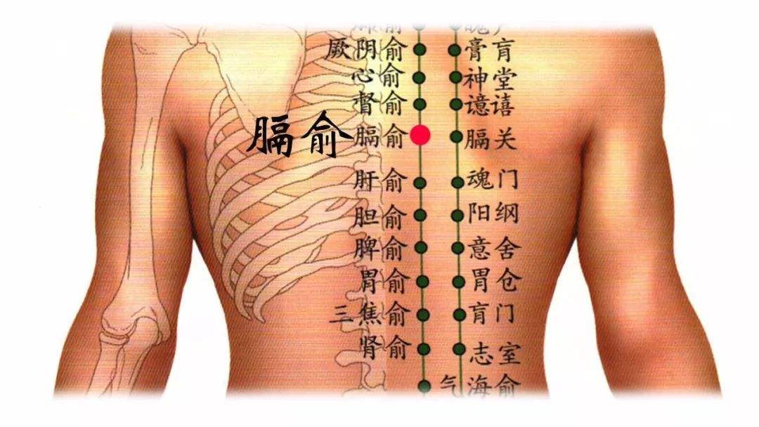 膈腧准确位置图和功效图片