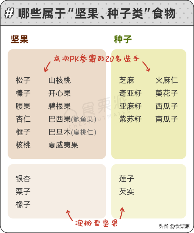 干果和坚果的区别，坚果是什么果实（20种坚果的排名顺序来了）