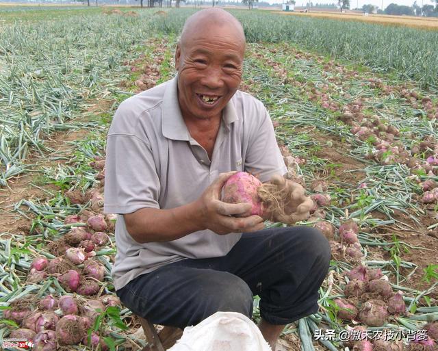 3的立方根是多少，3的3次方是多少（才能让蔬菜长得好、产量高、收益高）