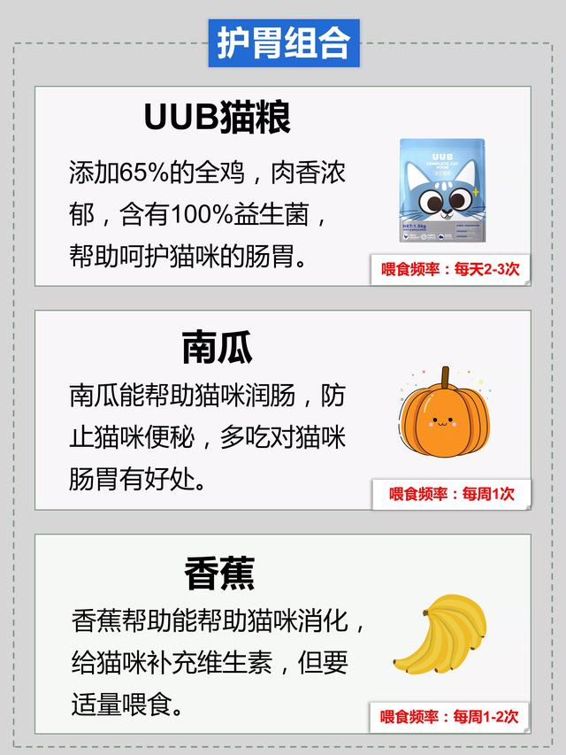 猫可以吃樱桃吗，猫咪可以吃些什么水果（看看哪些食物不能吃）