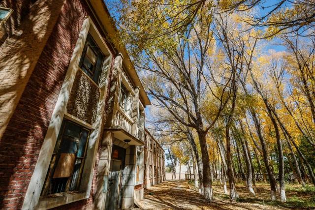 404，却值得所有人记住......