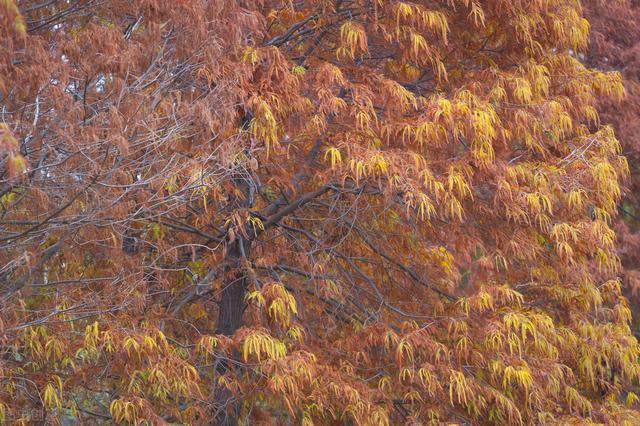 去厦门必去的几个地方，厦门必去的几个景点（这8个好玩又好拍的免费游玩圣地）