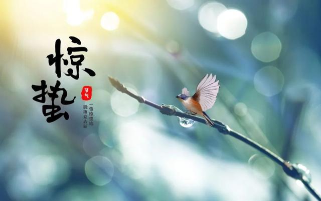 拂能组什么词语惭能组什么词语，拂能组啥词儿（10首最美惊蛰诗词）