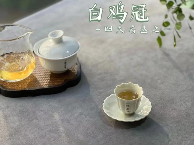 武夷岩茶之马头岩九龙窠肉桂，武夷岩茶入门
