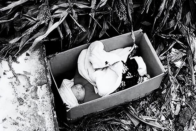 农村的漂亮姑娘，最漂亮的女人农村（河南农村漂亮“椅子姑娘”）