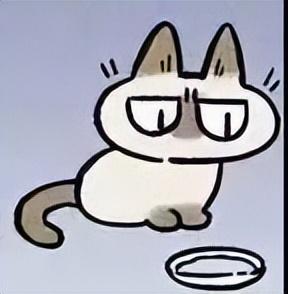 好看的表情包(10000种表情包图片大全)