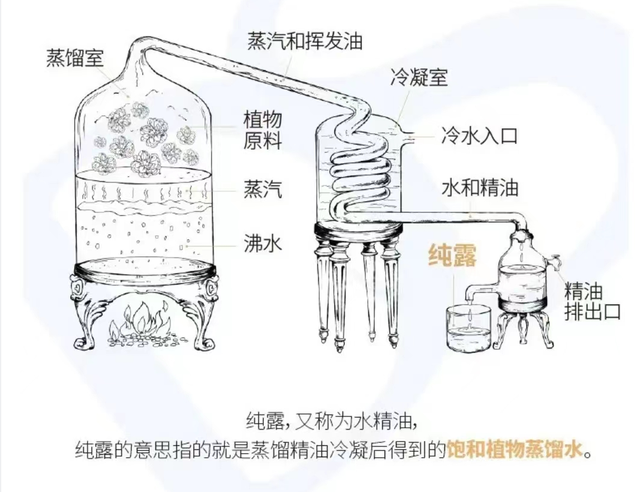 纯露的十二种使用方法，解密纯露的功效和用法