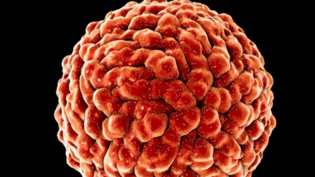 什么叫打封闭，对人体有害吗（关节疼痛、韧带损伤适合打封闭针吗）