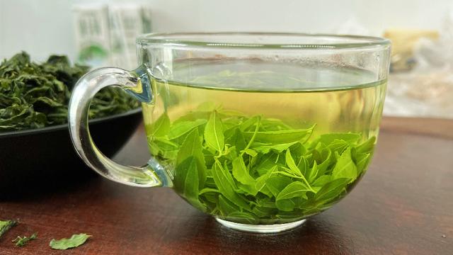 酸枣芽怎样制成茶叶，怎样自制酸枣叶茶（遇到这叶子别手软）