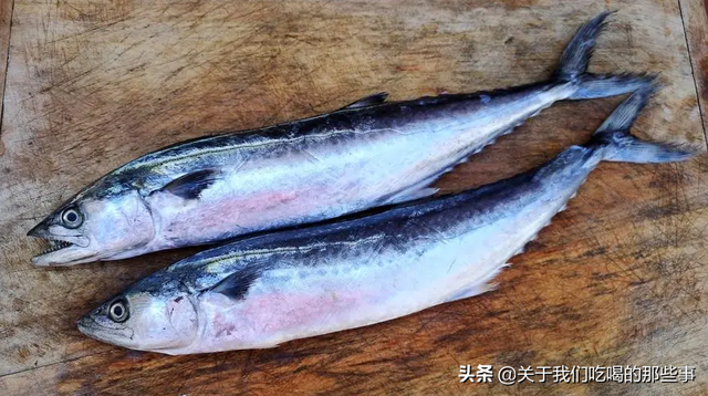 海鱼大集合，认识美味海鱼（这4种是野生海鱼）