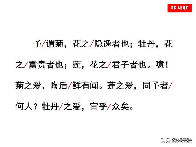 爱莲说原文朗读，爱莲说拼音版原文（部编人教版七年级语文下第17课《爱莲说》周敦颐-诵读+课件）