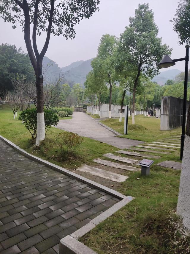 歌乐山森林公园，重庆旅游必去景点（歌乐山国家森林公园）