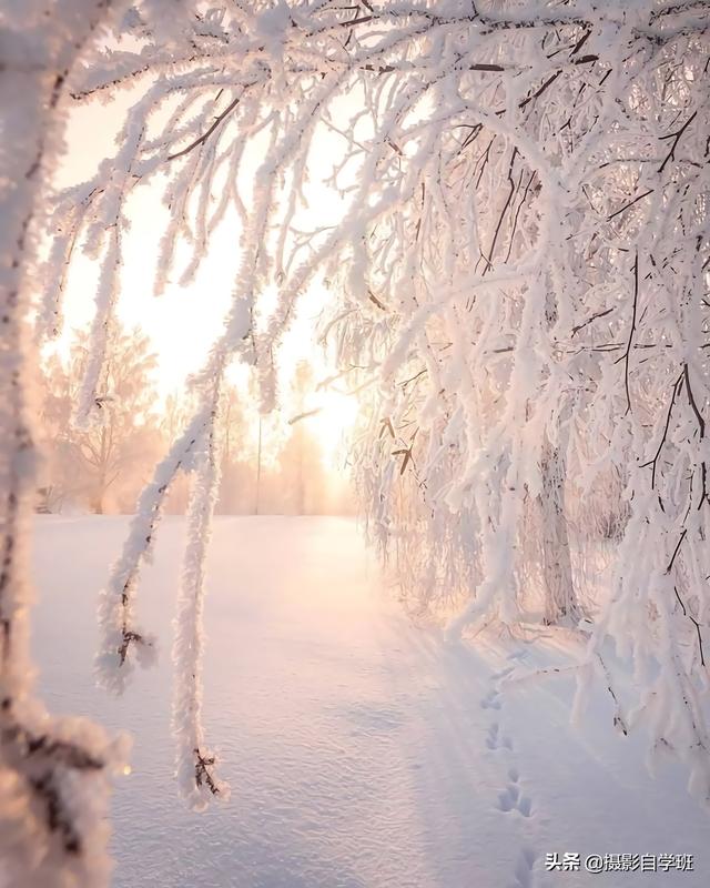 怎么拍照片好看，拍照怎么拍的好看（试试这9个教科书式摄影技巧）