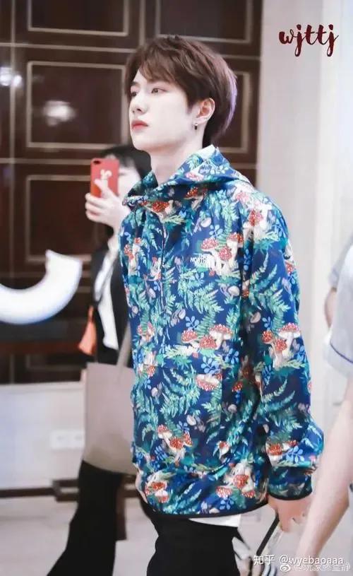 洛阳白牡丹——王一博，为什么叫王一博洛阳白牡丹（洛阳白牡丹—王一博图片）