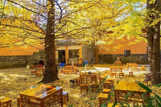 夏天去哪里旅游最好，夏天去哪里旅游最好（8个最佳旅游地推荐）