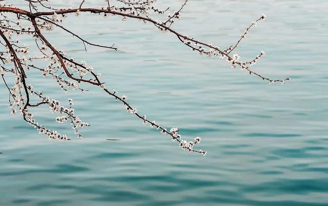 比喻句大山像什么，大山像什么的比喻句怎么写三年级（小测一下，你是什么水）