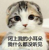 晚上饿是在消耗脂肪吗，减肥晚上饿是在消耗脂肪吗（脂肪：你瞧不起谁呢）