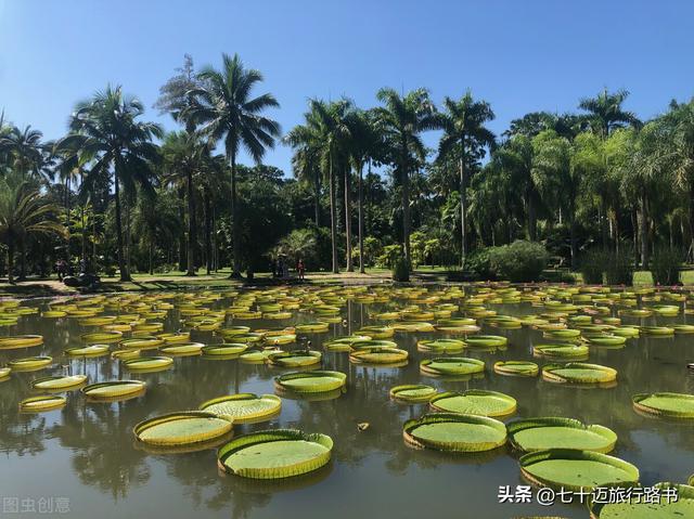 普洱有什么好玩的，普洱市有什么好玩的旅游景点（一张图看懂西双版纳、普洱怎么玩~带详细路书）