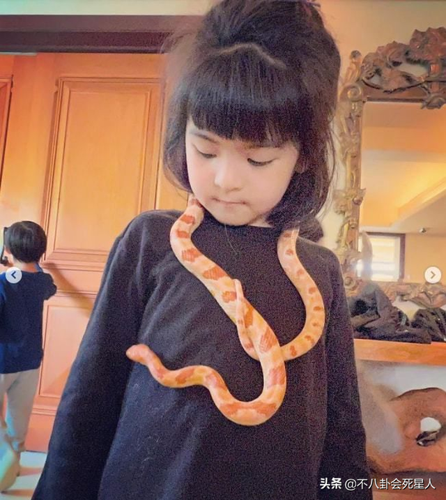 妈妈是超人第一季，姨母心是个什么意思（《妈妈是超人》9位萌娃现状）