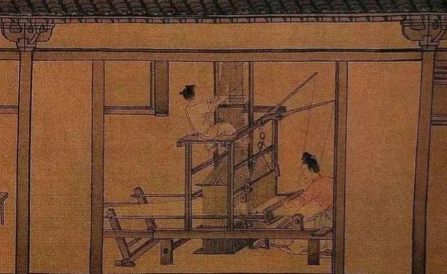 植物纤维是什么，什么面料是植物纤维（可供编织纤维植物）