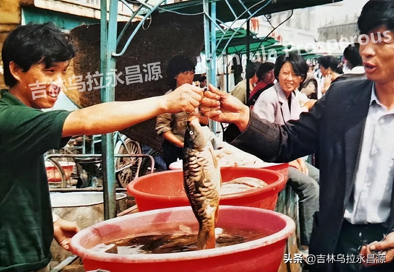 附近的宠物市场(宠物狗市场)