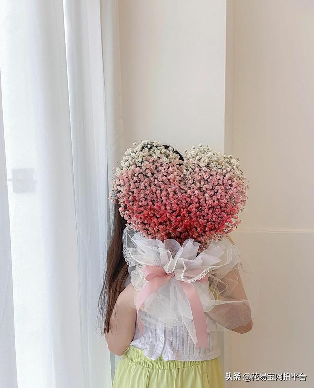 Gypsophila 满天星网名，Gypsophila 满天星（千万星、百万星、伊洛斯有何区别）