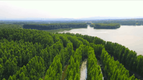 河南的13个千年古县，河南这座千年古县古迹遍布